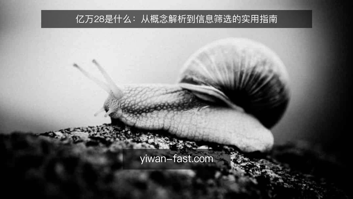 亿万28是什么:从概念解析到信息筛选的实用指南