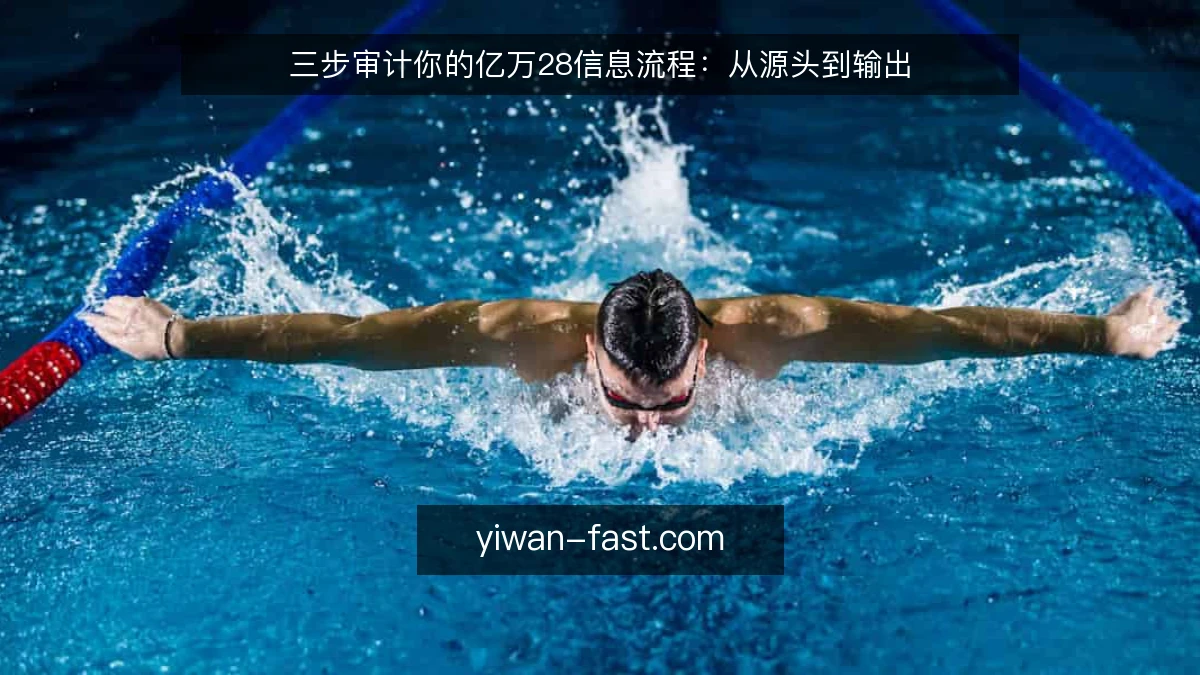 三步审计你的亿万28信息流程:从源头到输出