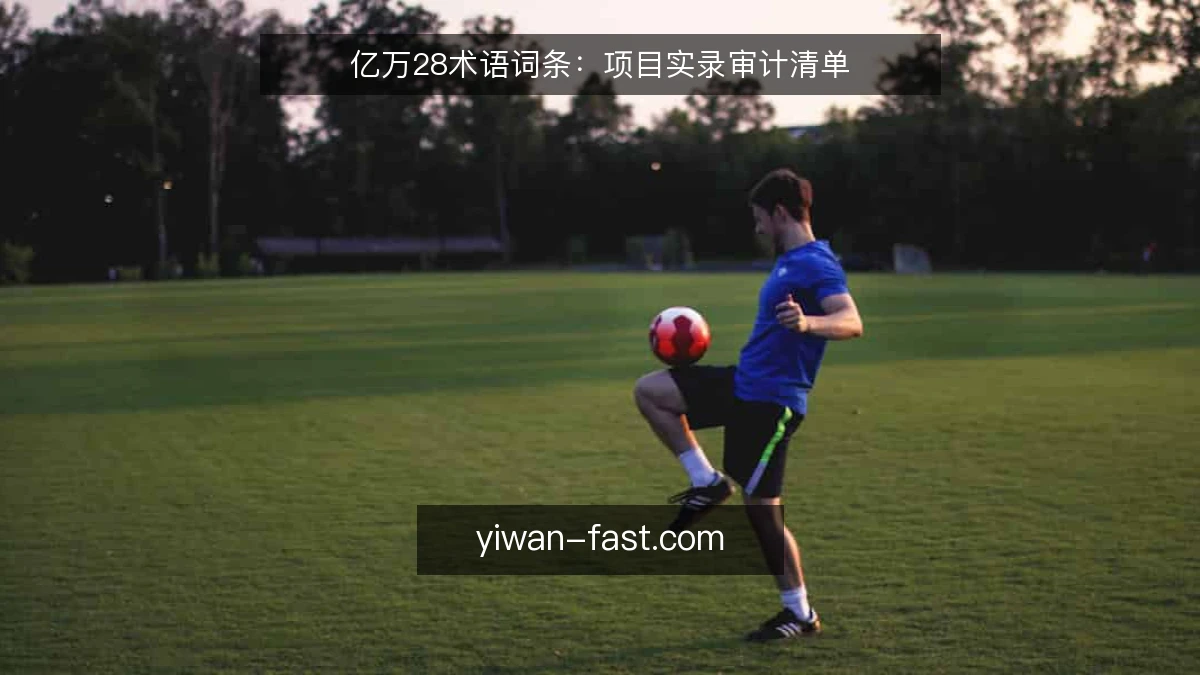 亿万28术语词条:项目实录审计清单